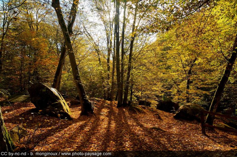 France Autumn